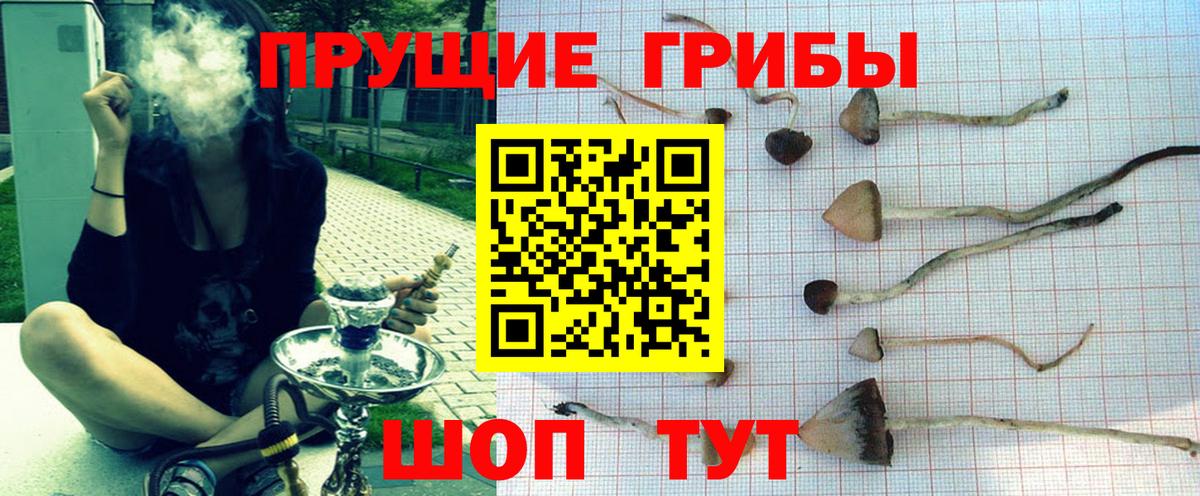 Псилоцибиновые грибы ЛСД  Вход с VPN  Галлюциногенные грибы ЛСД  Егорьевск 